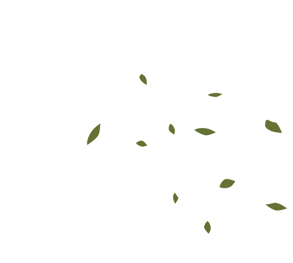 Dog Salon 369